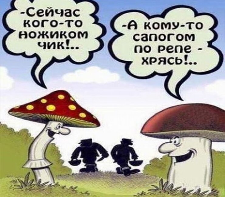 источник фото https://cdn.imgbb.ru/