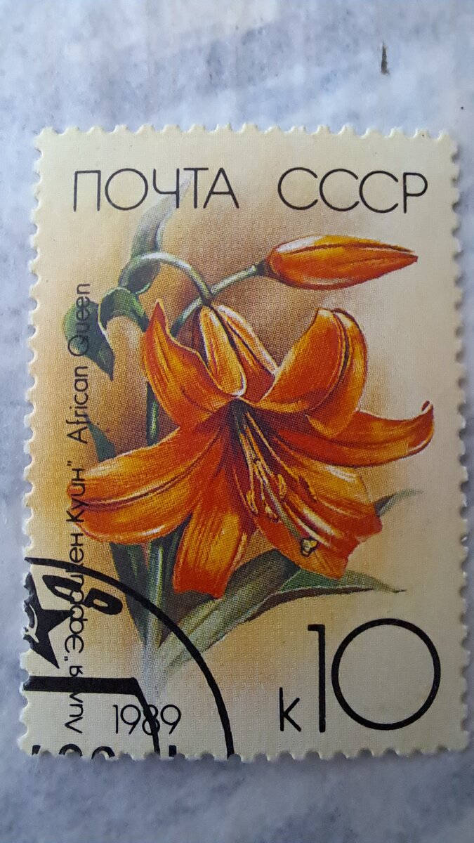 Фото автора из личной коллекции.