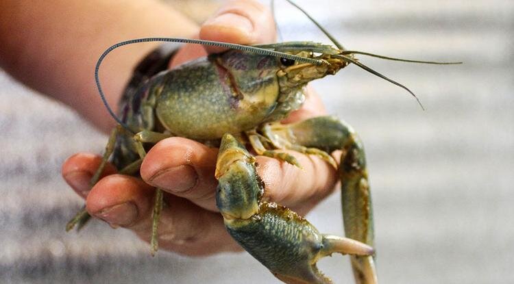 Фото: Валерия Шатько