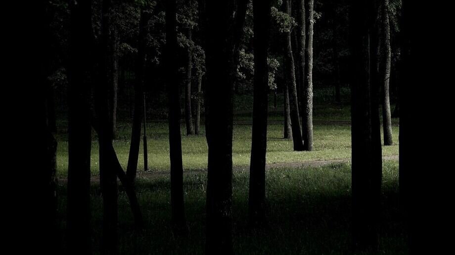     24 апреля депутаты комиссии гордумы по местному самоуправлению единогласно поддержали решение назвать сквер в центре Нижнего Новгорода в честь 100-летия санитарной службы России.