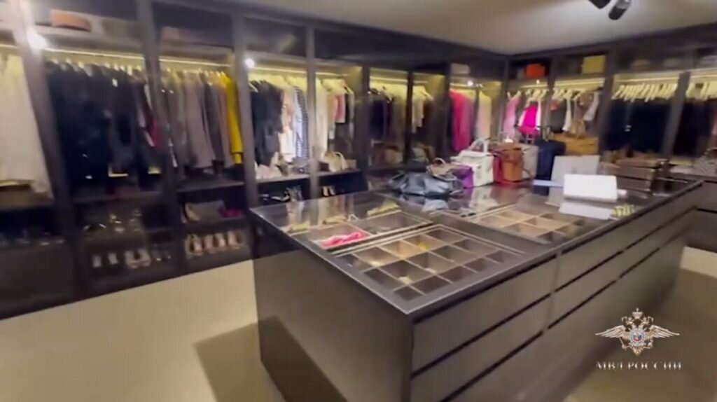    Обыск в доме Елены Блиновской. Фото: скриншот видео МВД РФ