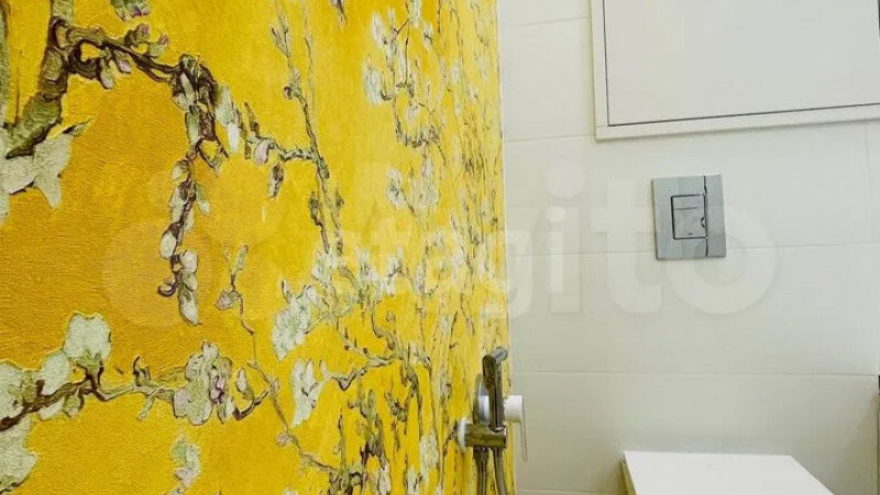     Яркую трешку с туалетом в стиле Ван Гога продают в Барнауле Авито