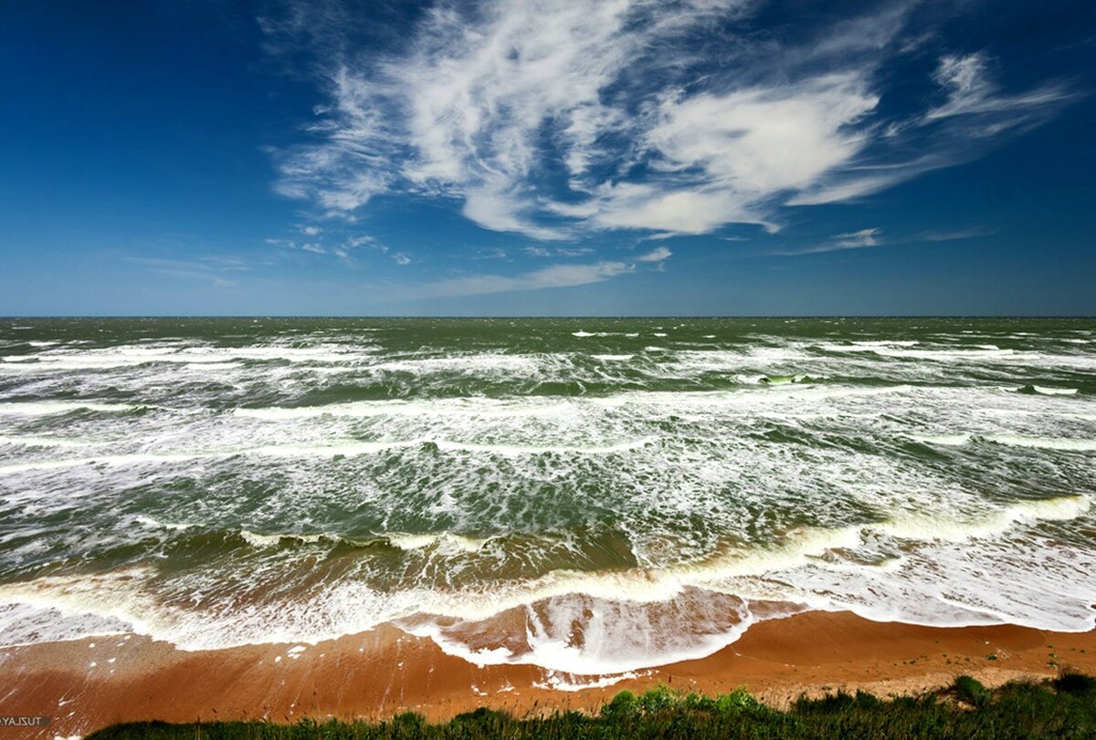 Азовское море картинки красивые