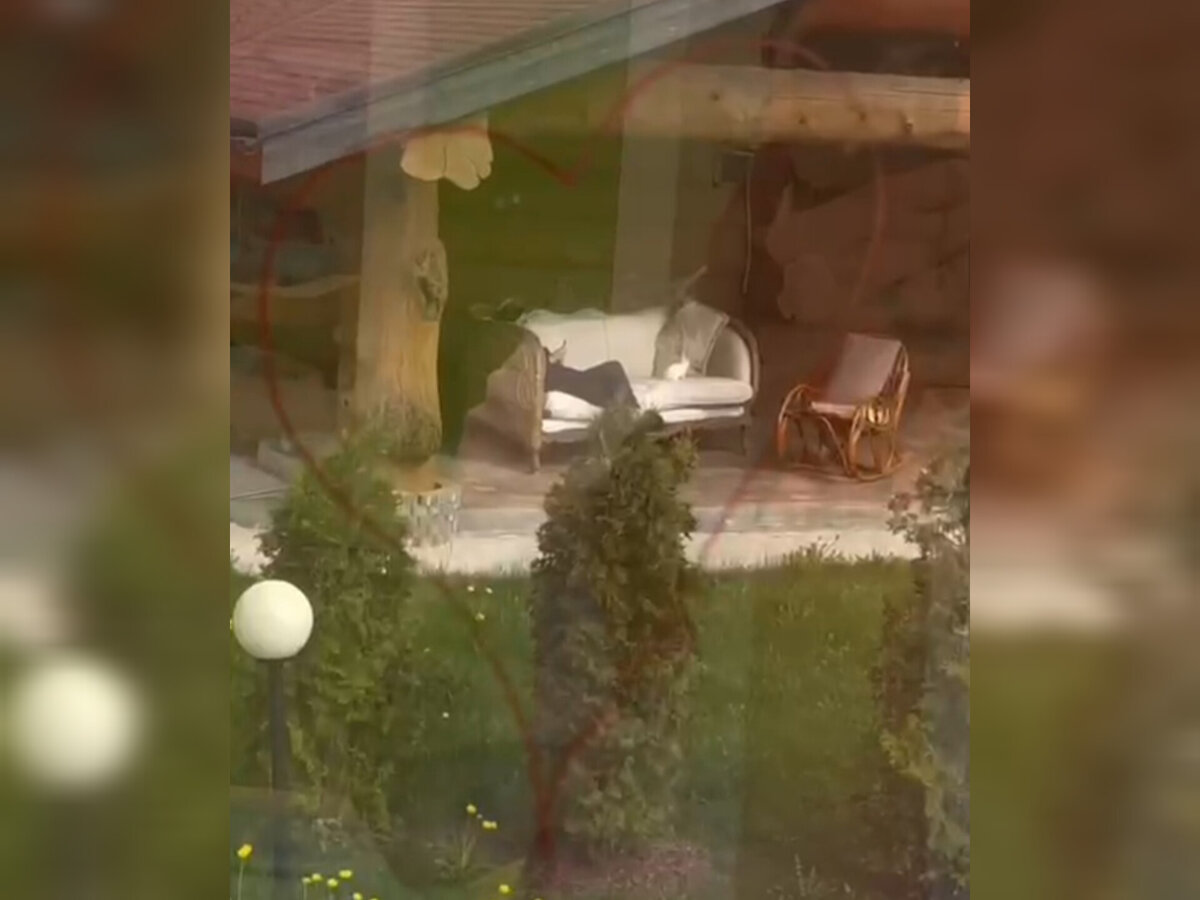 Илья Баженов наблюдает за Лизой за стеклом. Источник: соцсеть