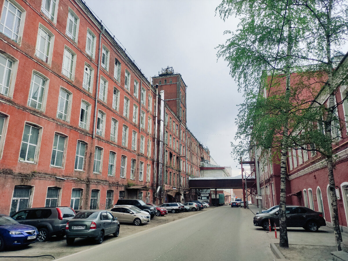 © Яна Левашова