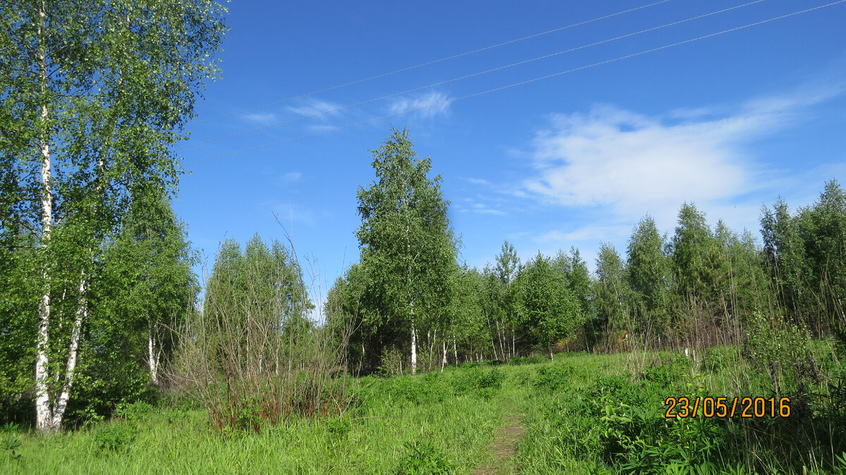 Фото Лидии Бам