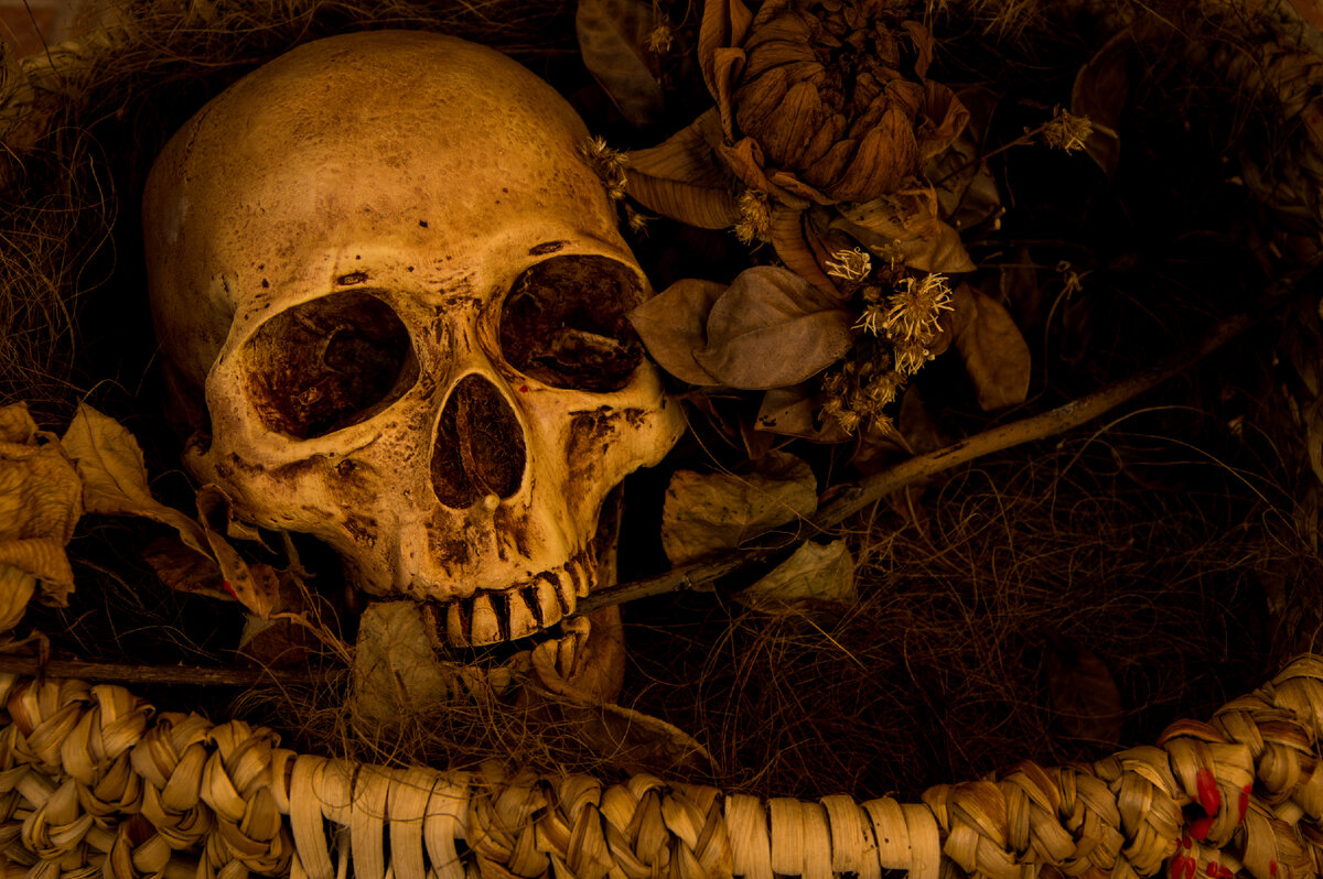 https://ru.freepik.com/free-photo/still-life-photography-with-human-skull_1131314.htm