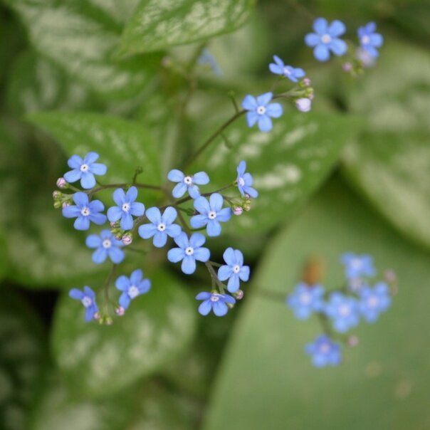 Фото из личного архива 