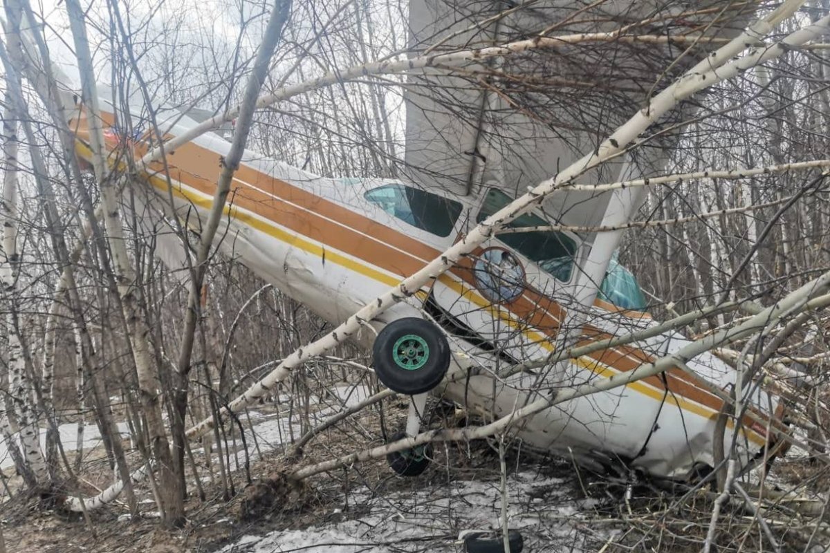 Появились фото с места крушения самолета Cessna 172 в Новосибирске | АиФ  Новосибирск | Дзен