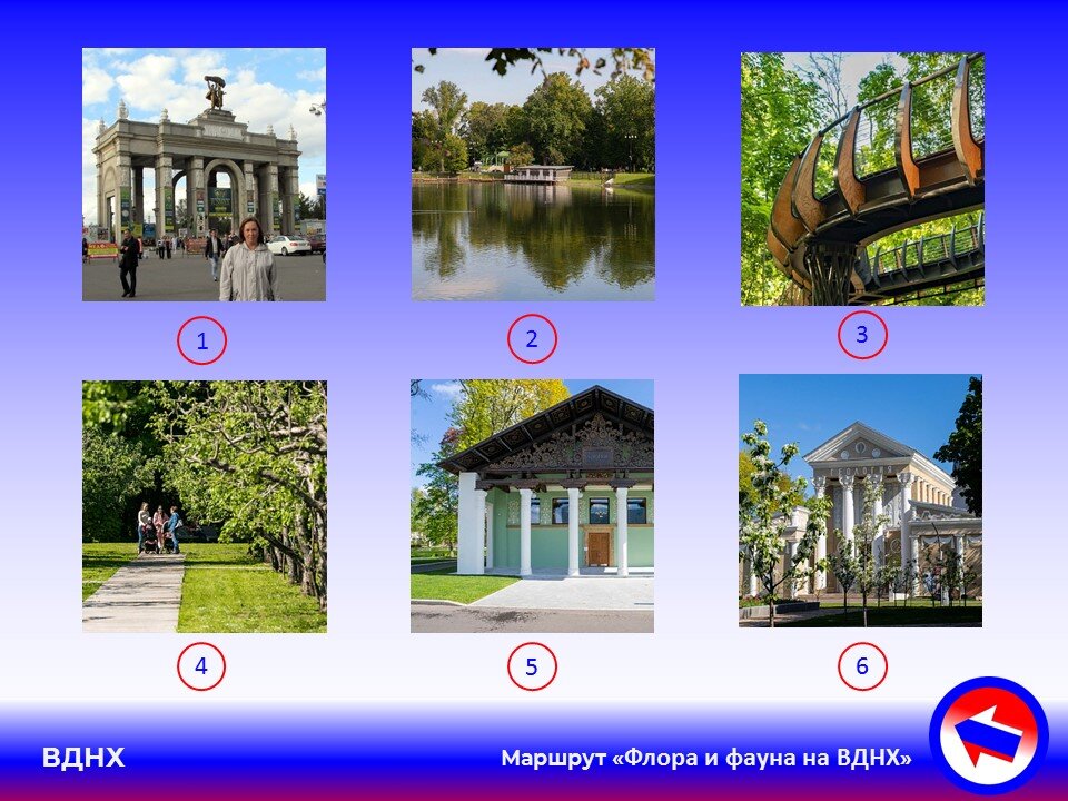 Маршрут вднх. Флагманский маршрут ВДНХ