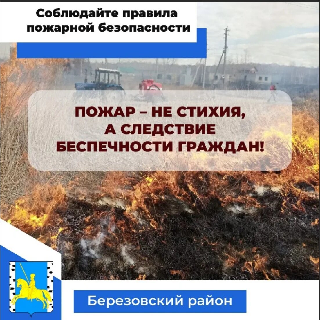 Фото из свободного доступа Интернет.