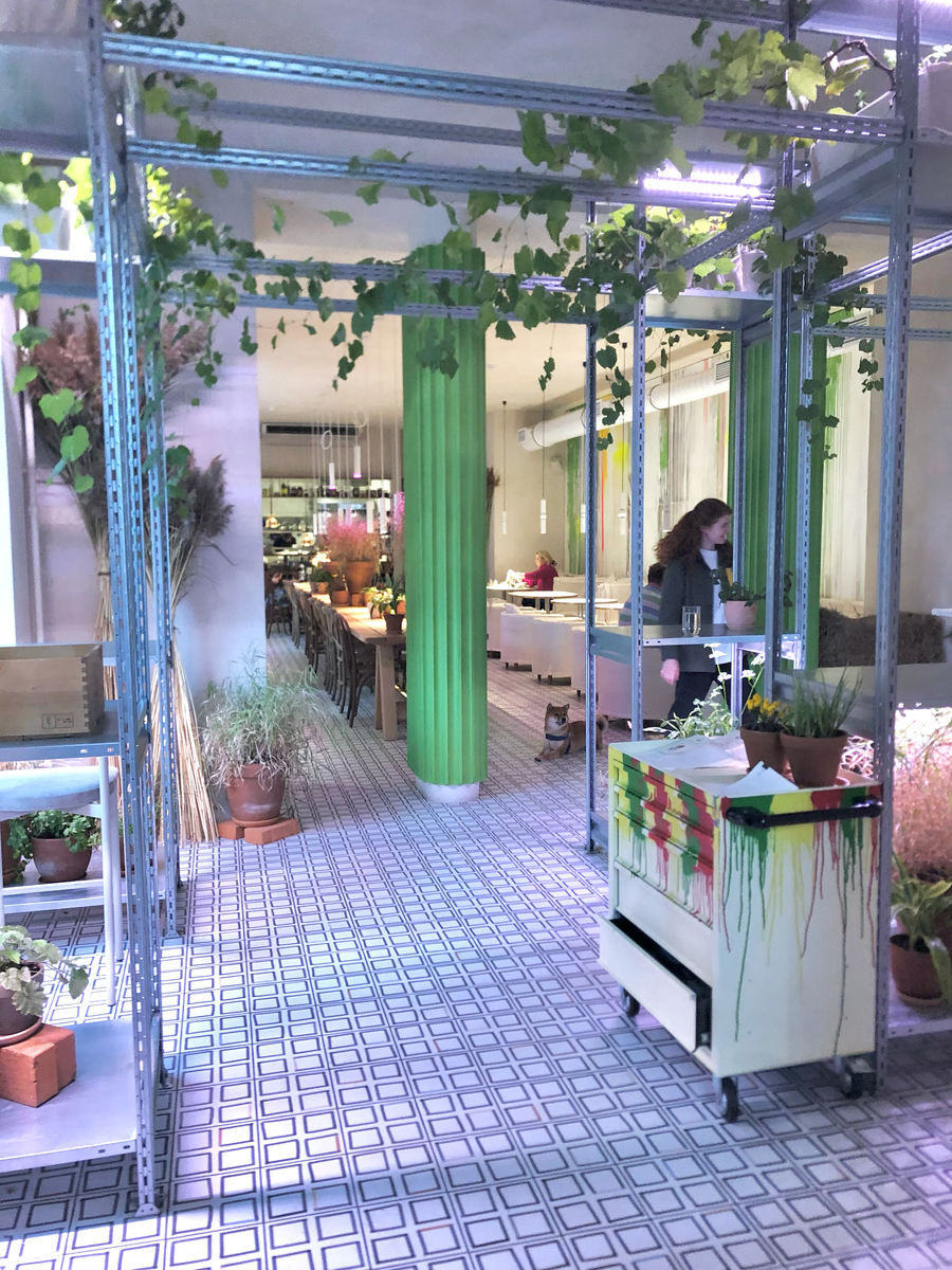 На входе вас встречают приветливая хостес, лозы винограда, холодильник с сырами собственного производства и, если повезет, собачка