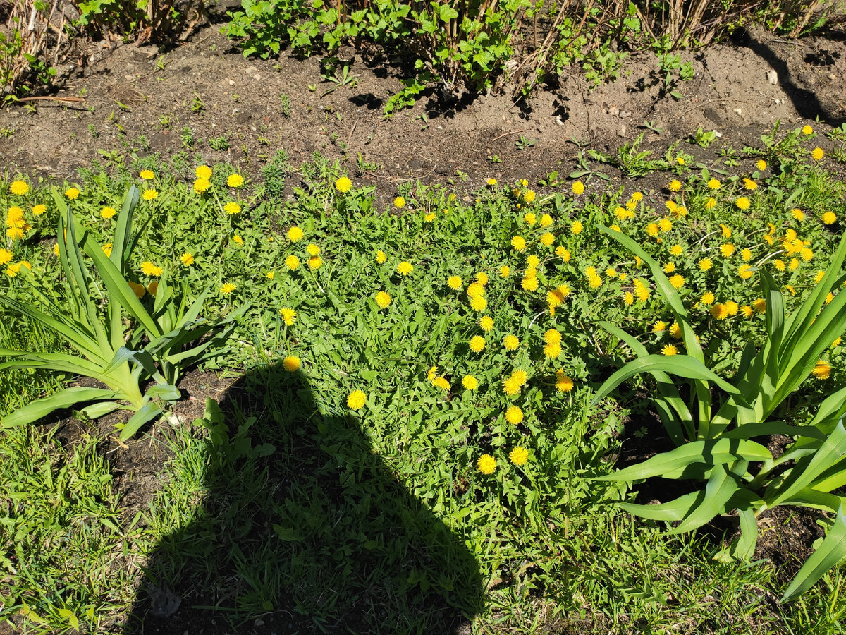 Погодка шикарная.... Но прохладно