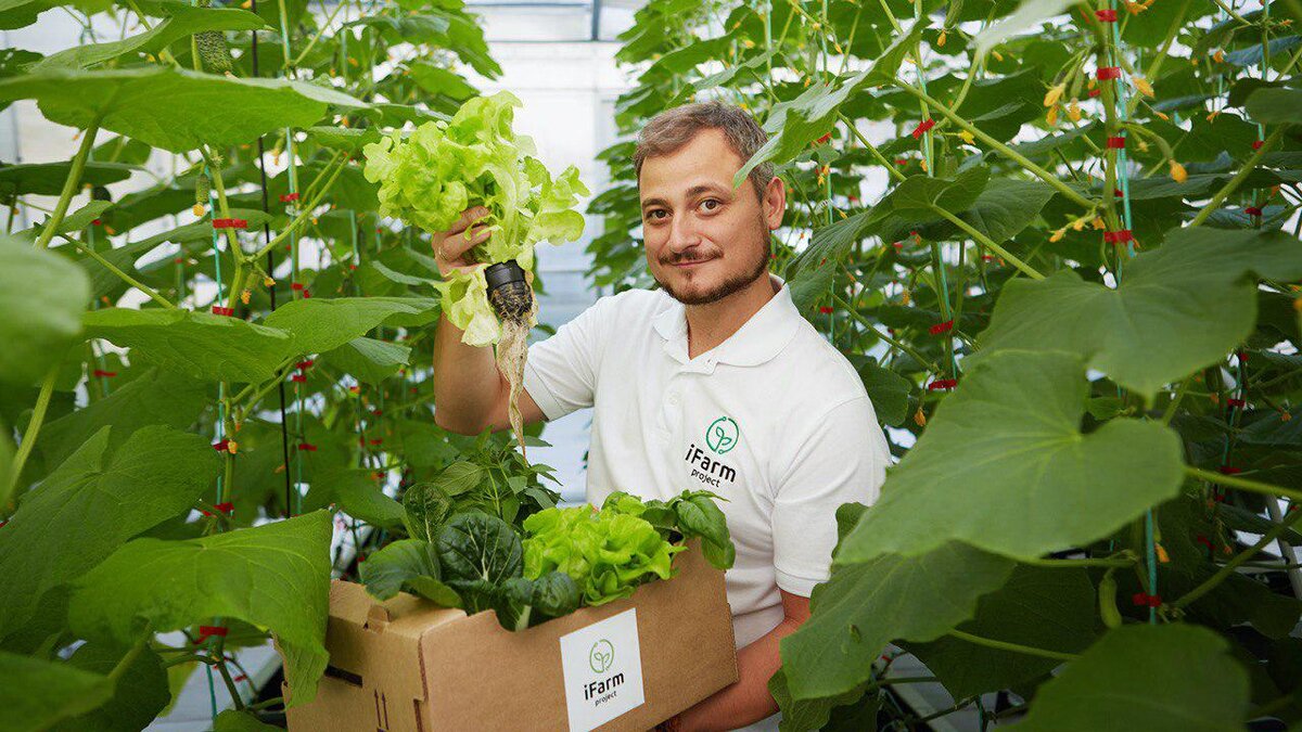 Выращено Рядом (iFarm) - поставщик «Ешь Деревенское»
