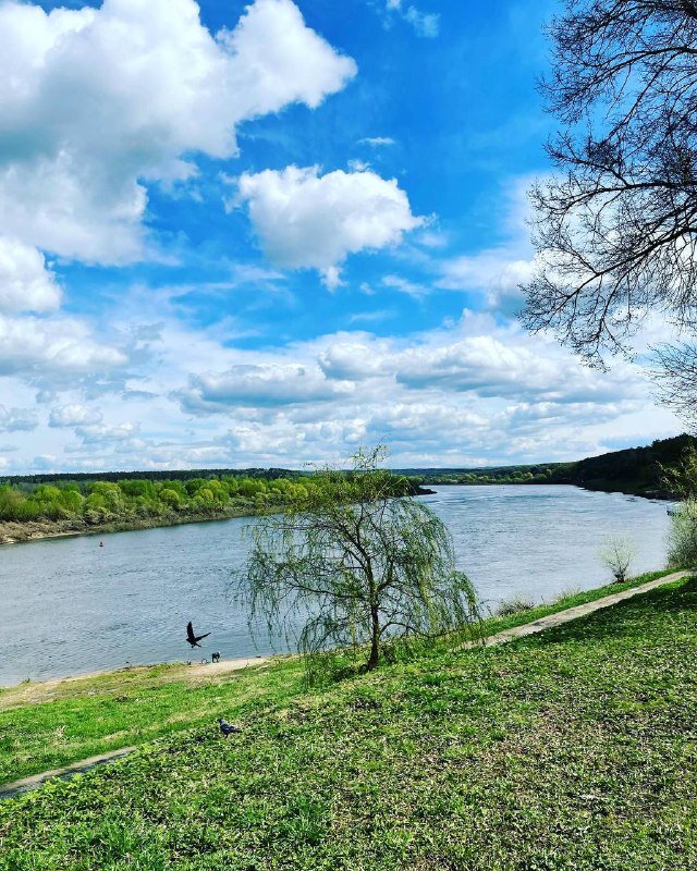 Тарусское время