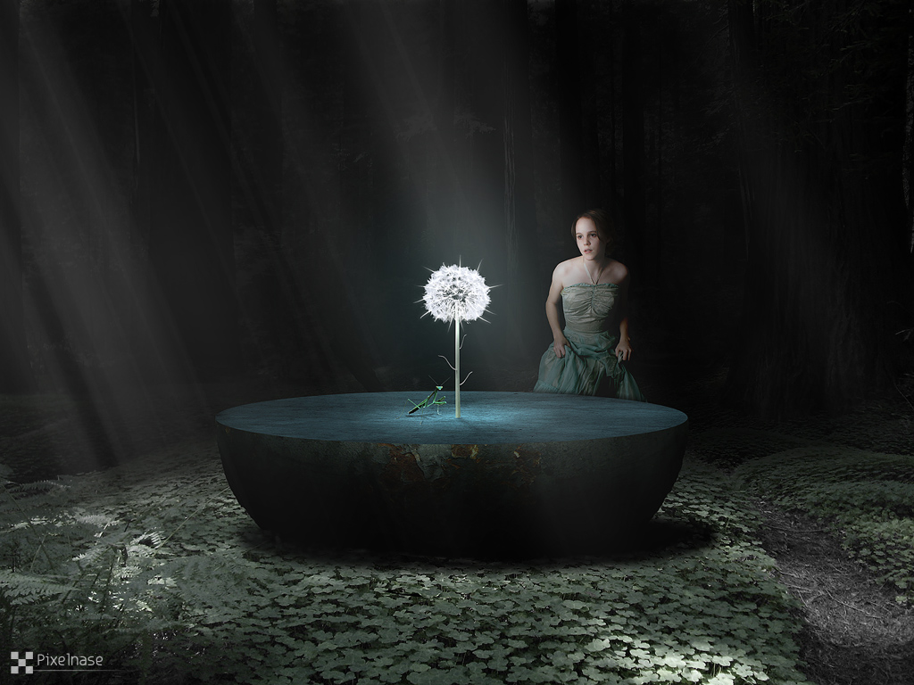 Автор иллюстрации - Pixelnase