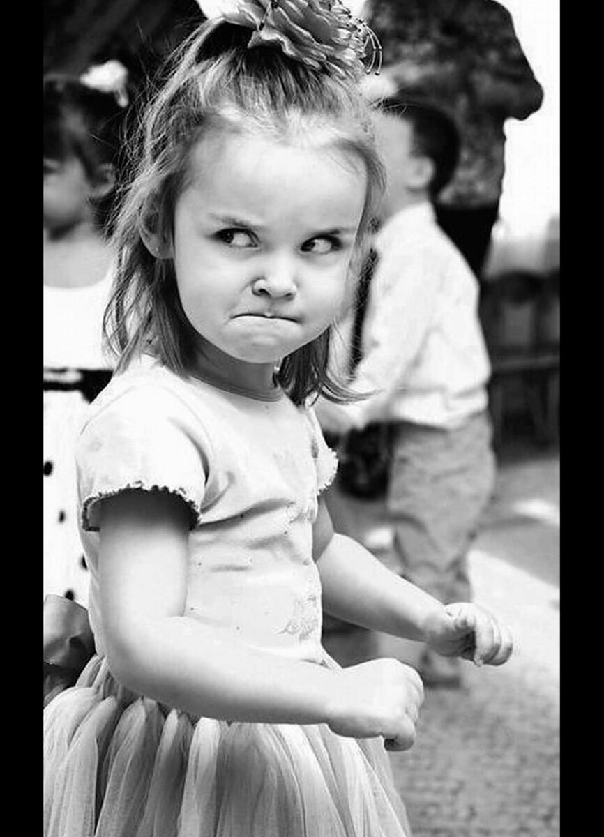 Яндекс картинки 