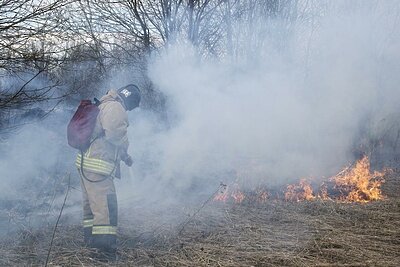    В «Мособлпожспас» напомнили правила безопасности во время пожароопасного периода © Пресс-служба ГКУ МО «Мособлпожспас»