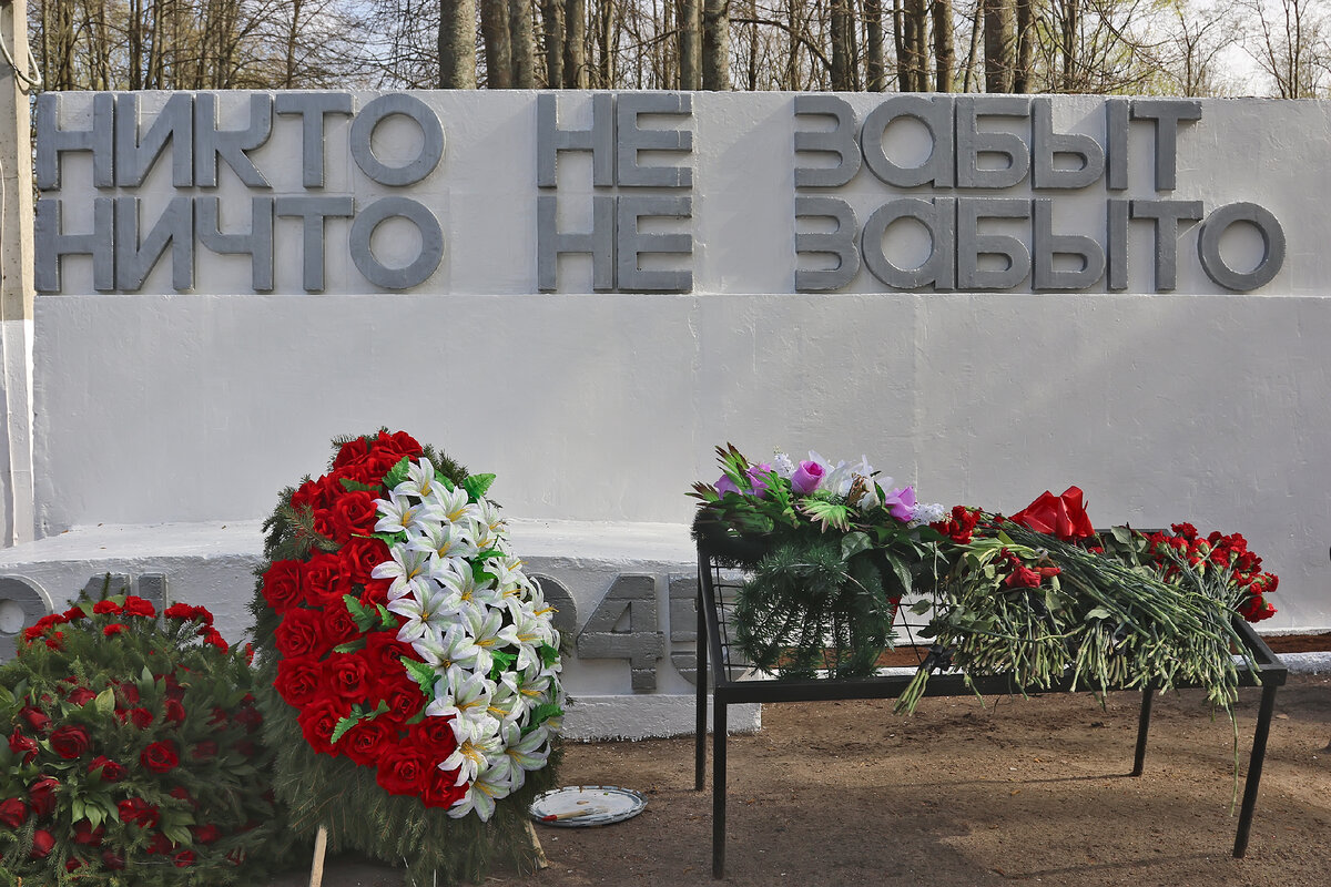 Про основание и основателей Всеволожска Ленинградской области | Путешествия  с собаками | Дзен