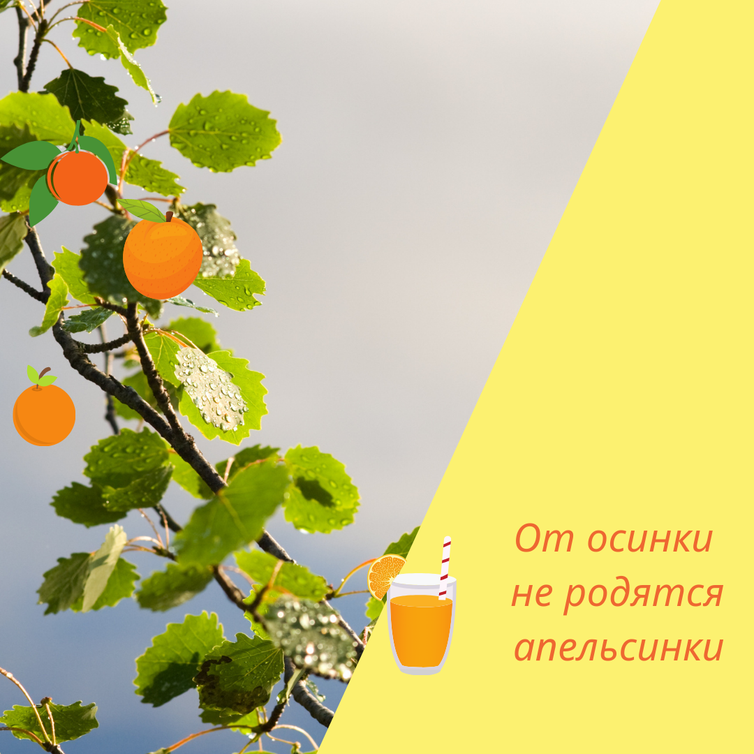 День посадки внутреннего дерева. День дерева. 12 — День посадки внутреннего дерева. День выращивания внутреннего дерева.