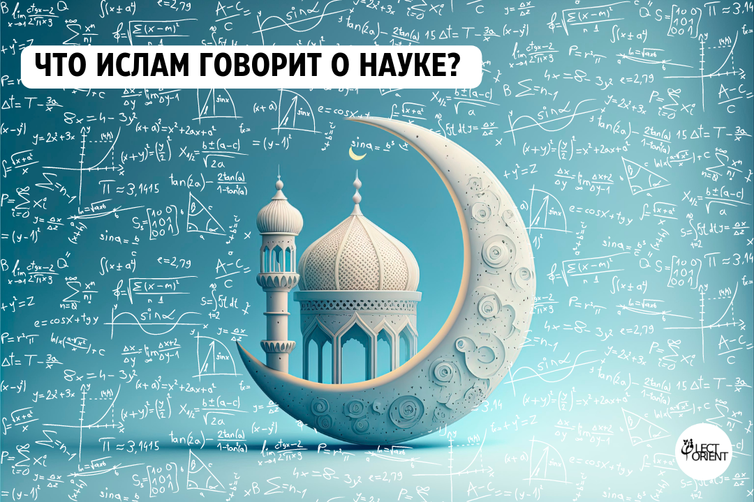 Фото выполнено с помощью редактора Canva