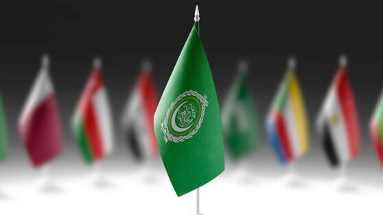    СМИ: сирийскую делегацию допустят к заседаниям ЛАГ с 7 мая Юлия Шелковенко