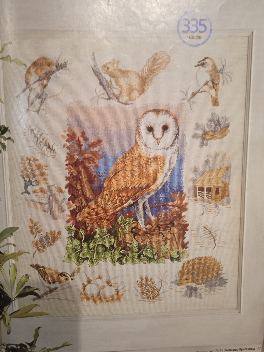 Вот эта сова так и не дождалась своей очереди. 