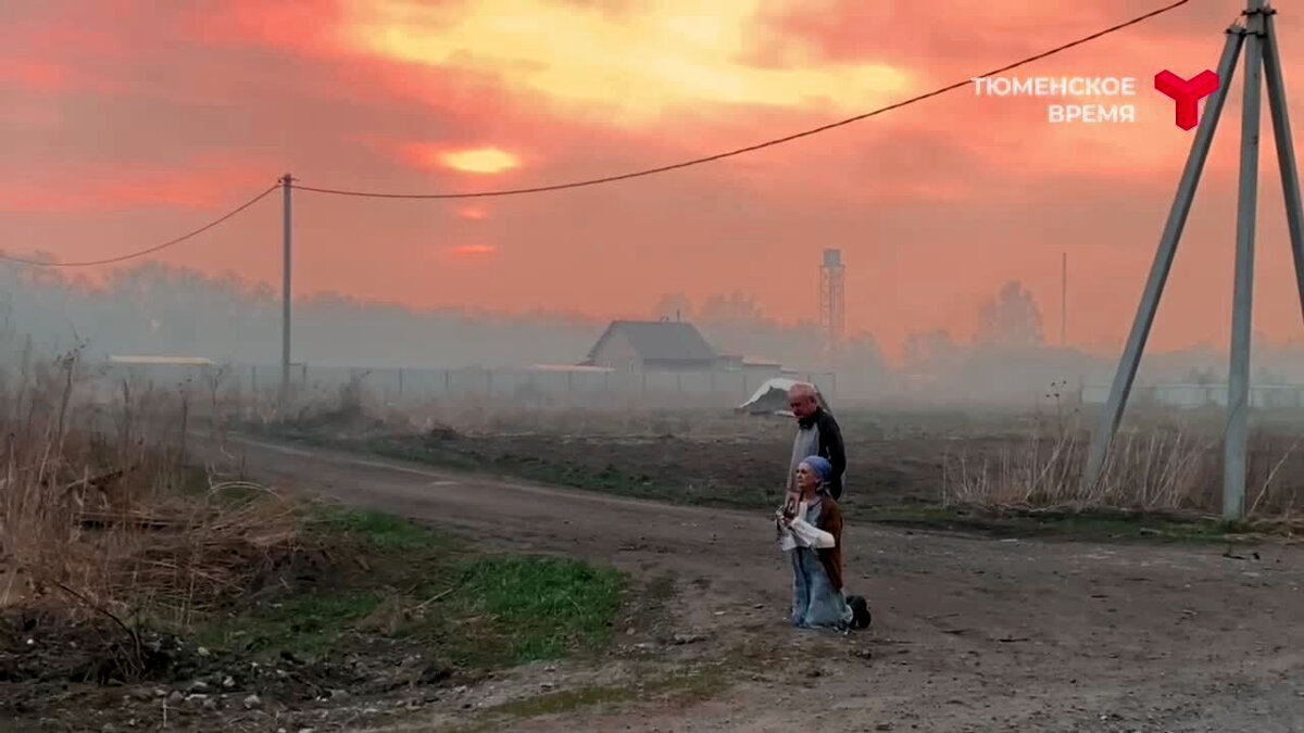 Хозяйственная разруха, как причина 20-ти кратного роста площади пожаров в России