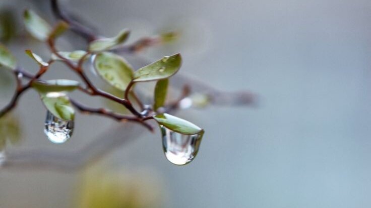 Стань водой — чистой, пластичной и всёпроходящей, смывающей преграды и растворяющей все печали, превращающей пустыню в оазис