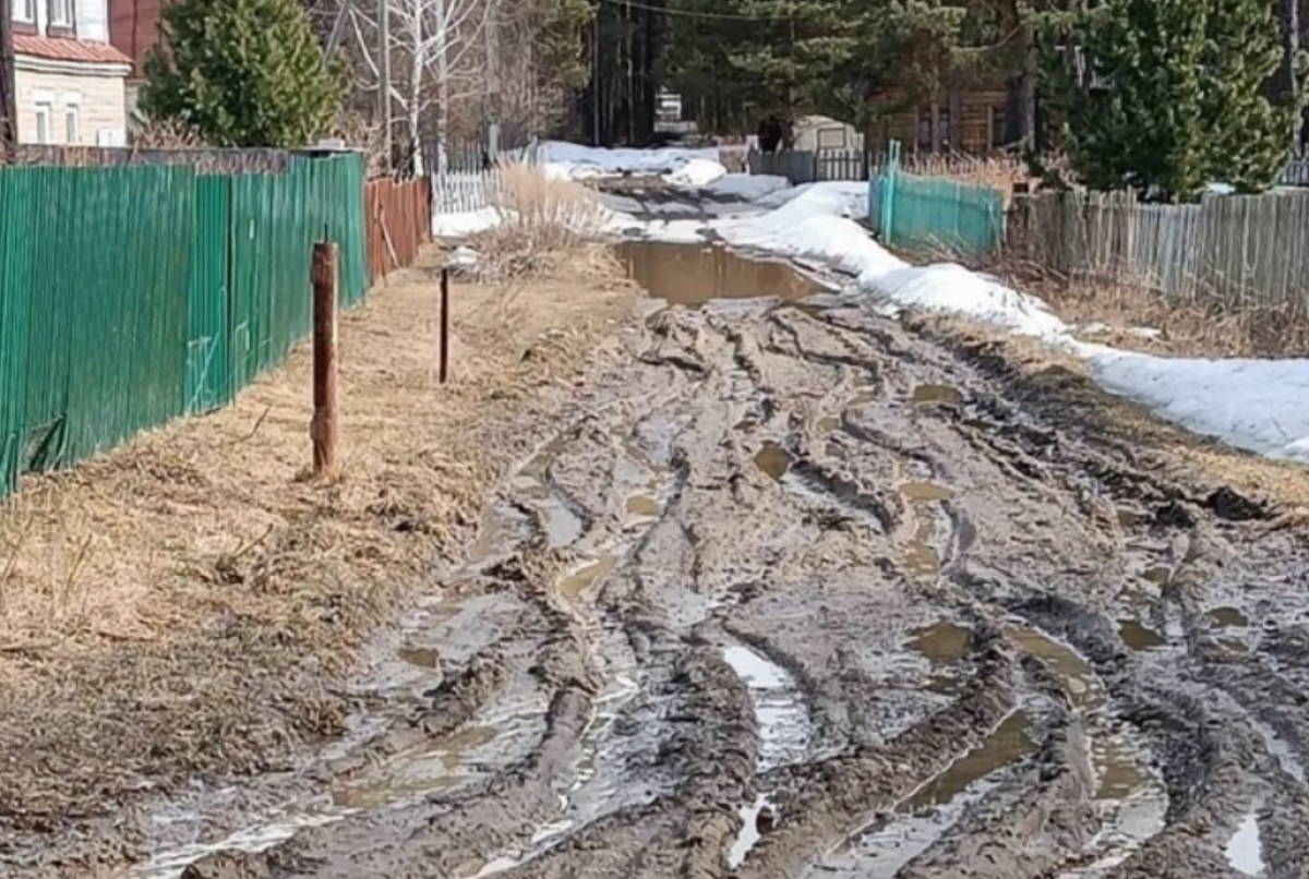    В Томской области СК проверит непроездную дорогу к селу Половинка