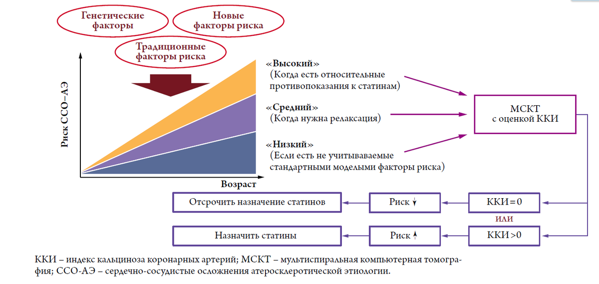 Схема взята из публикации в журнале Кардиология за 2019 г. (Ашихмин Я.И. и соавт.). 