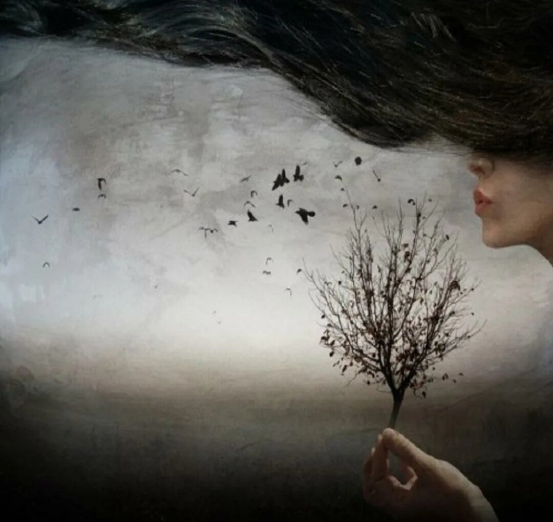 Картинка из свободных источников интернета 