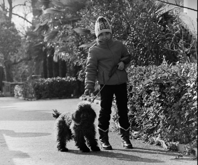      В школе девочка училась плохо