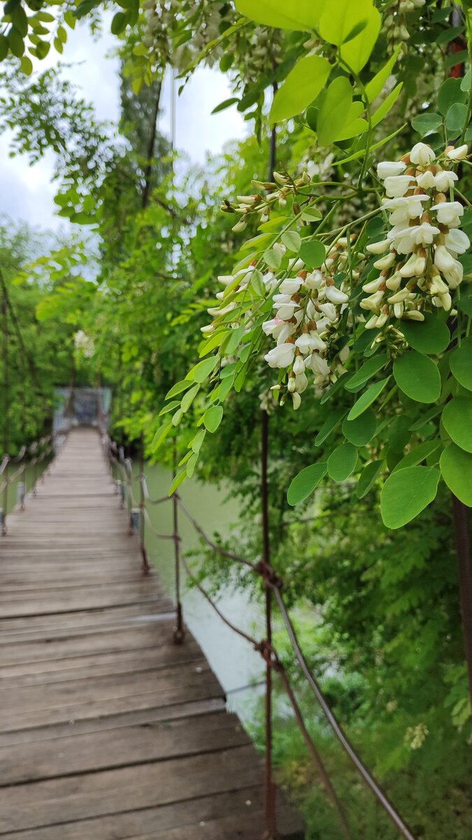 Вдохни