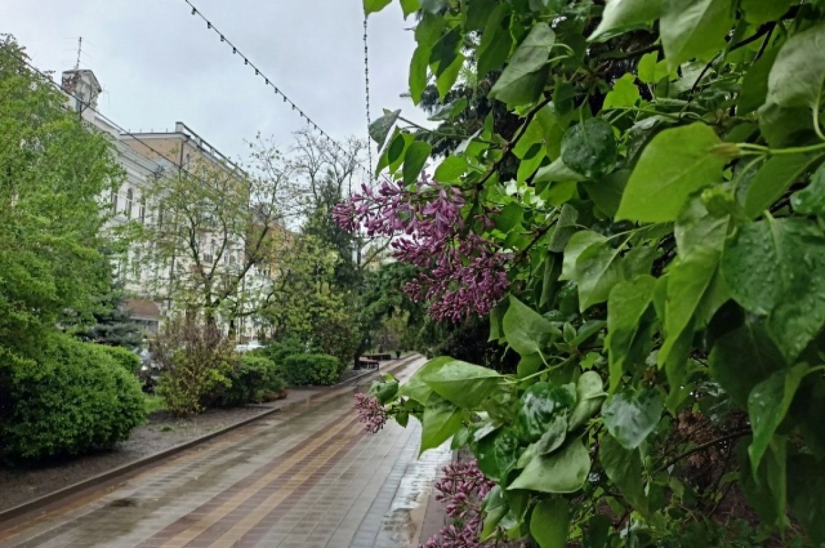    В воскресенье, 14 мая, в Ростове будет тепло, но пойдёт дождь