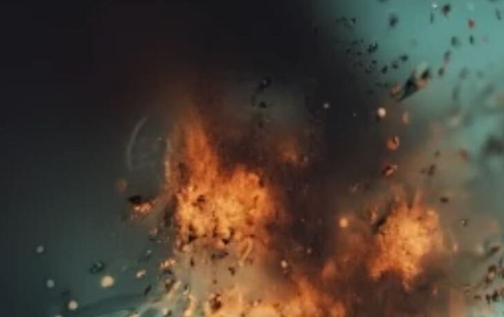    Голландские исследователи обнаружили в домашней пыли 144 вида остатков пестицидов