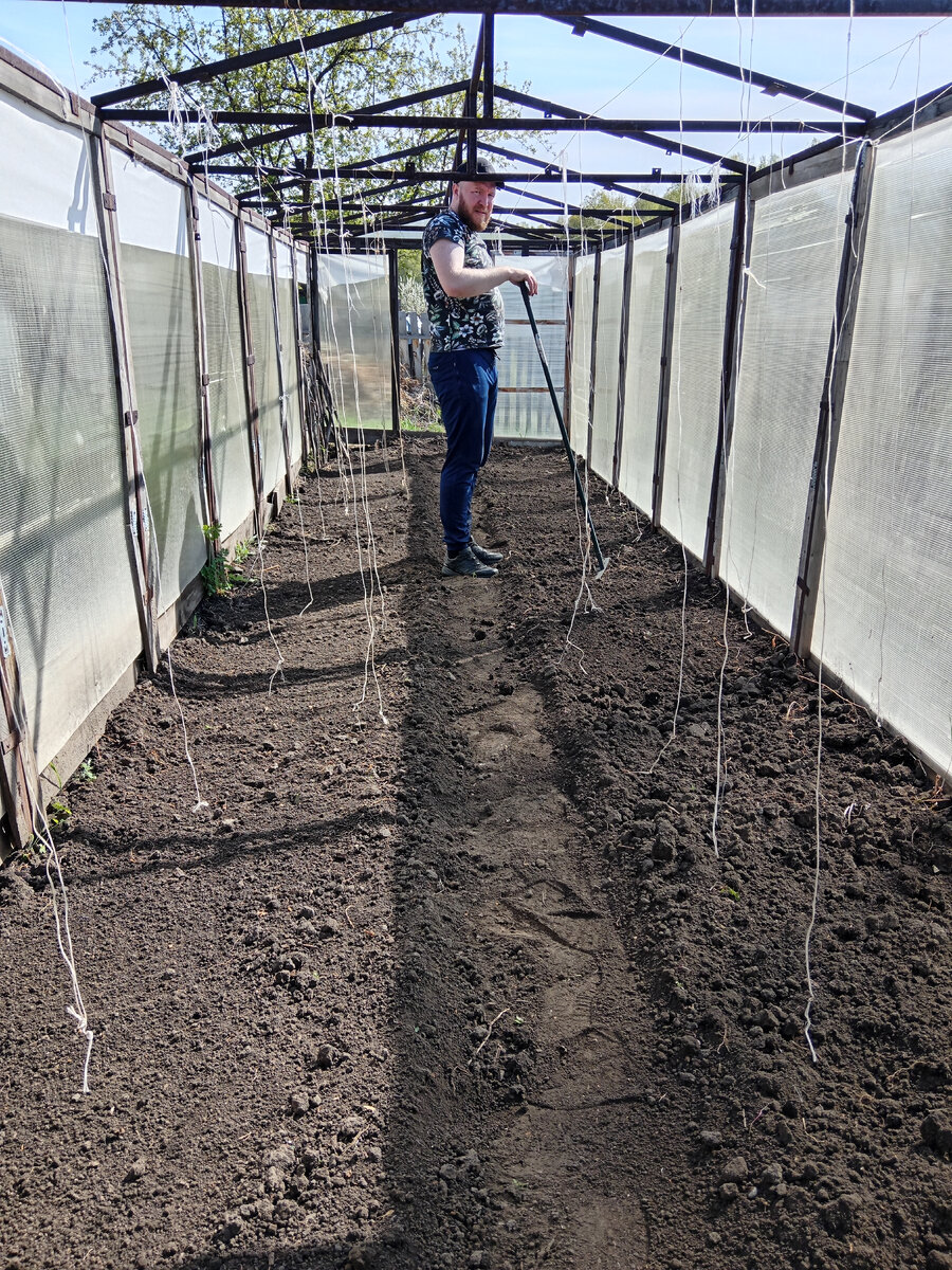 Жена, неси помидоры!