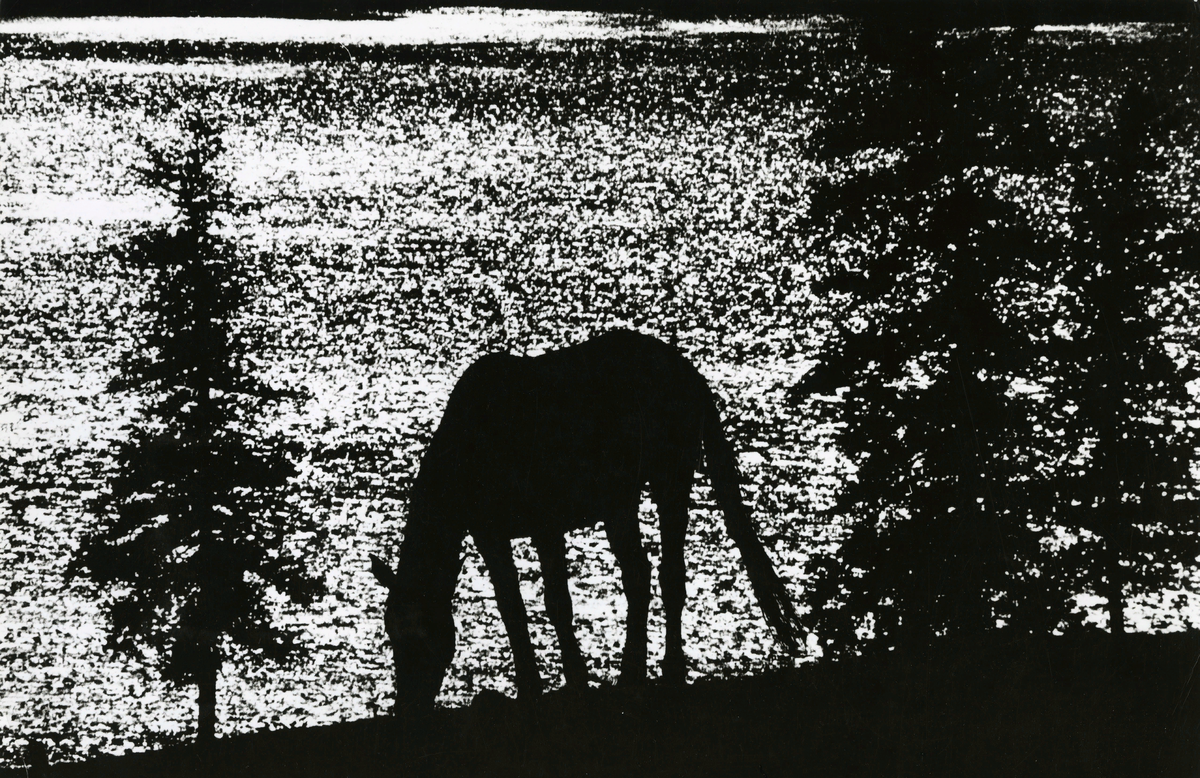 Фотография Павла Большакова