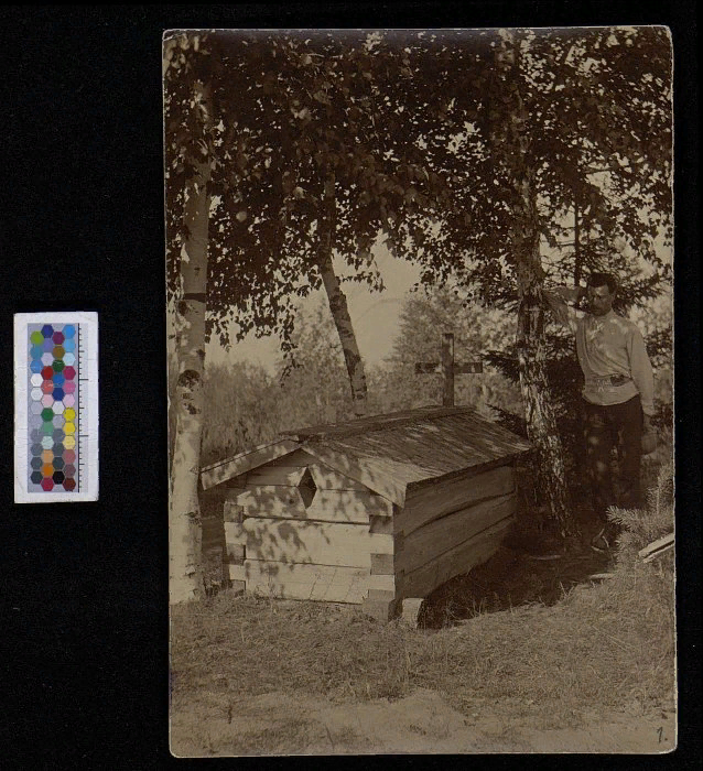 scale_1200