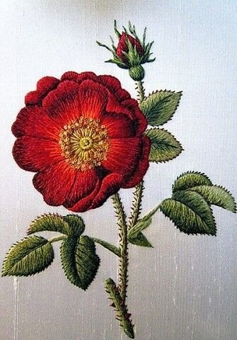 Чудесные вышитые розы. Идеи и схемы)) | Кладовая рукодельницы | Дзен