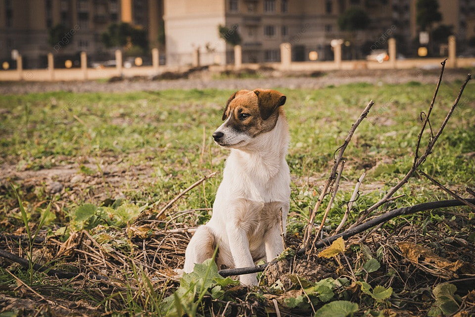   📷
