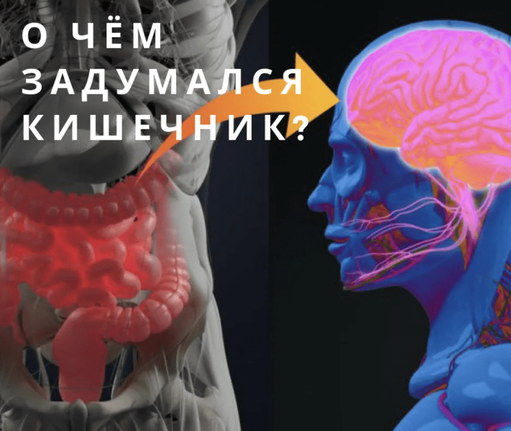 Источник: https://materlife.ru/jurnal/vtoroj-mozg-kak-mikroby-v-kishechnike-upravlyayut-nashim-nastroeniem-resheniyami-i-zdorovem/?setRegion=%D0%A2%D0%BE%D0%BC%D1%81%D0%BA%D0%B0%D1%8F%20%D0%BE%D0%B1%D0%BB%D0%B0%D1%81%D1%82%D1%8C&region_id=70