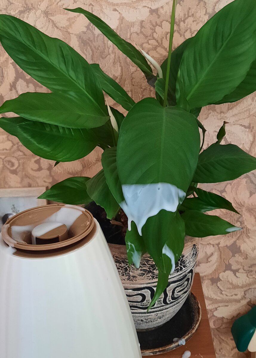 Ни за что не догадаетесь, чем измазала чистое "женское счастье"