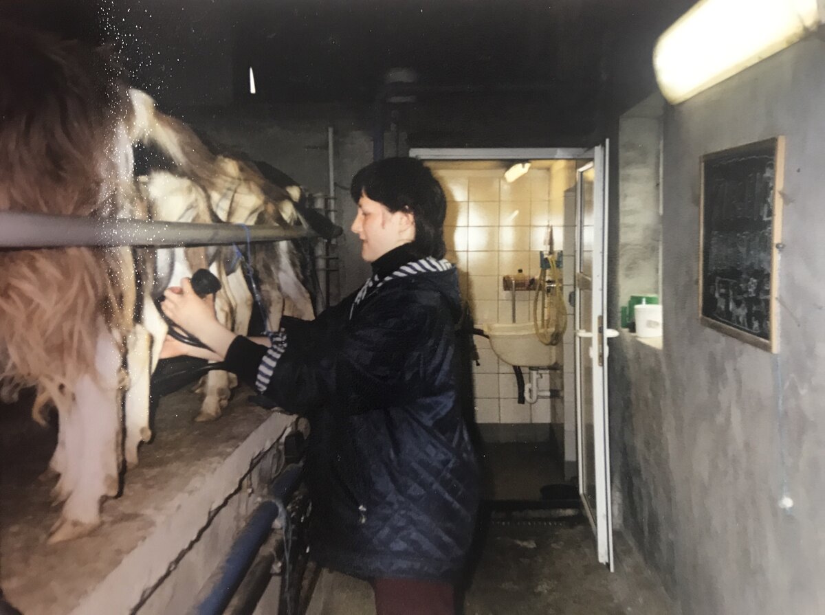Дойка в Германии. Козоводческое хозяйство Waldhof. Моя стажировка в Waldhof длилась год.
