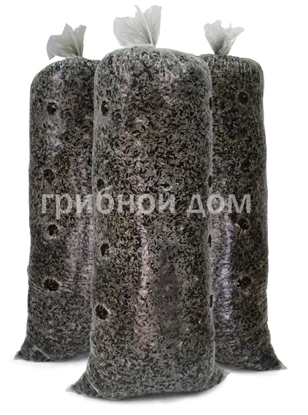 Дом должен быть у всех