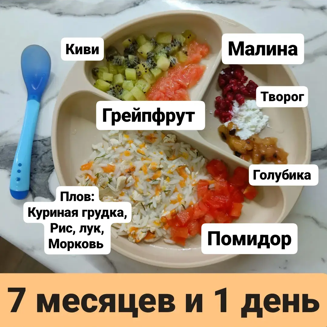 Прикорм. Тарелка 7 месяцев и 1 день | В поисках дома ❤️ Вьетнам 🇻🇳 Нячанг  | Дзен