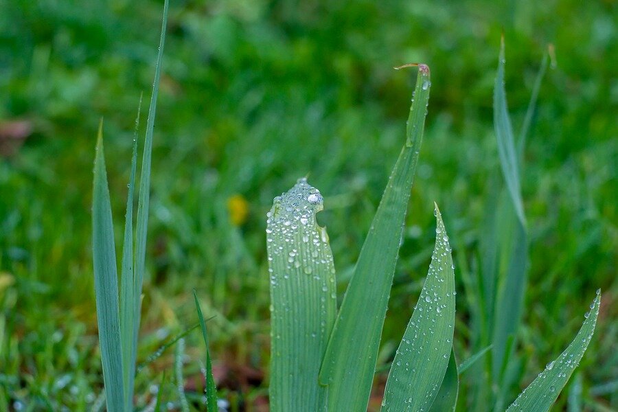 Фото Алексея Лучина