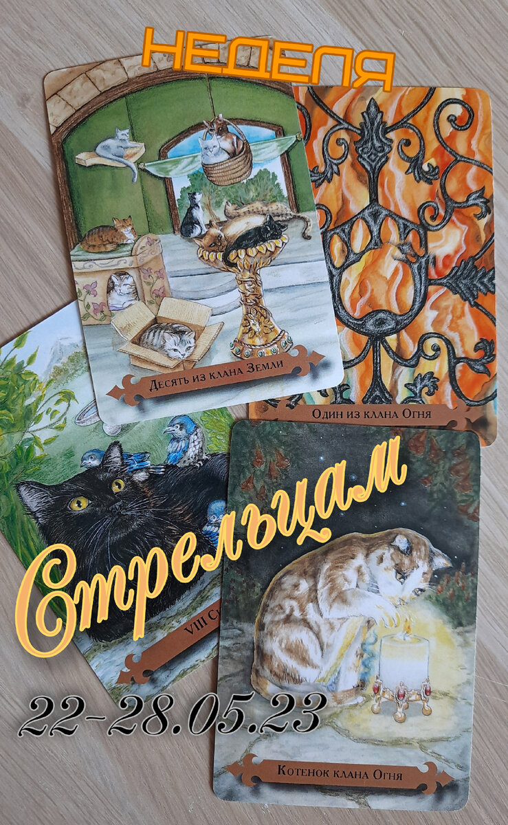 фото ЕлВита