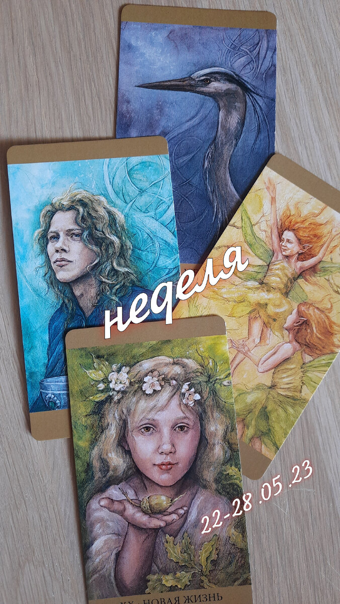 фото ЕлВита