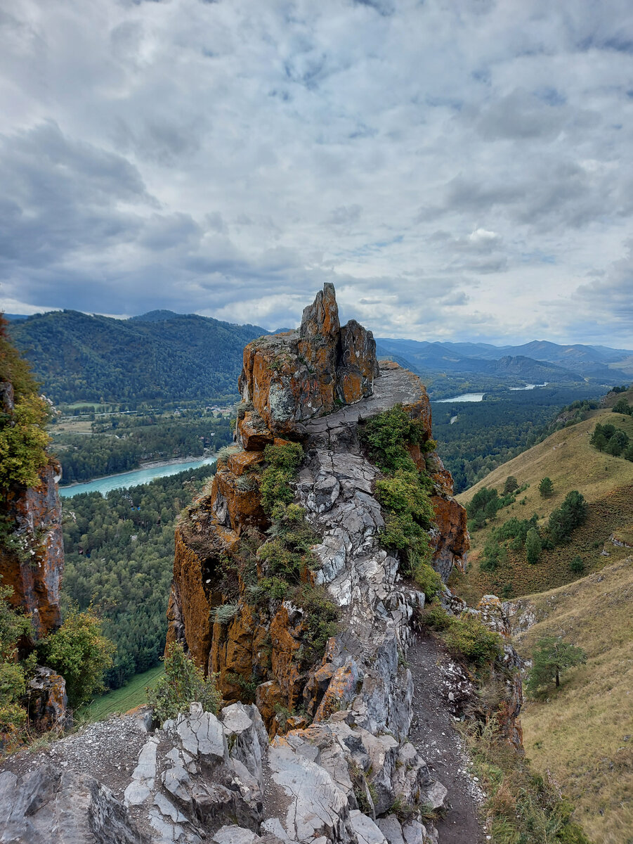 гриб чертов палец фото